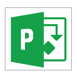 Microsoft Project Pro